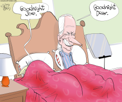 BIDEN DEBATE PROBLEM by Gary McCoy