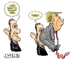 LOCAL NC - THOM TILLIS' MASK by John Cole