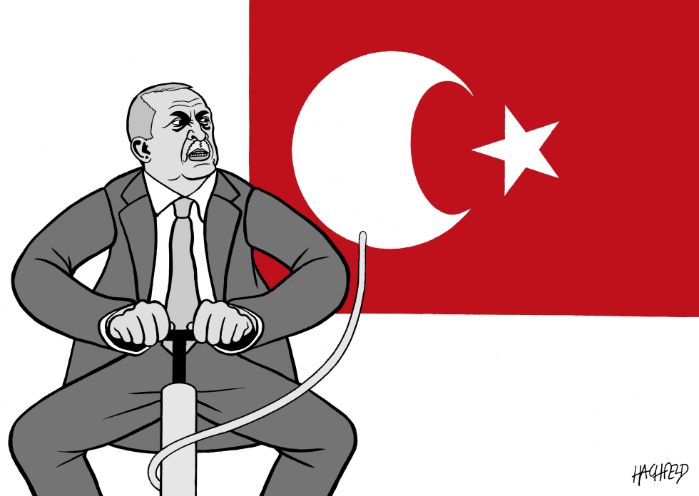 Erdogan enlarges Turkey