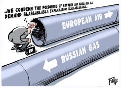 EU AND NAVALNY POISONING by Tom Janssen