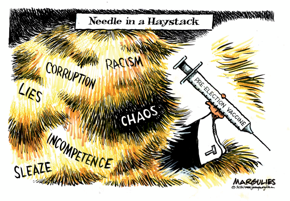 Needle in a Haystack
