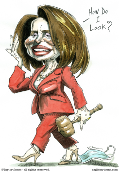 NANCY PELOSI BAD HAIR DAY by Taylor Jones