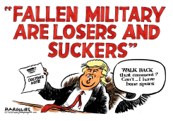 TRUMP INSULTS FALLEN MILITARY by Jimmy Margulies
