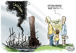MOTHER NATURE FORECLOSES  by John Cole