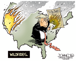  AMERICAN WILDFIRES by John Cole
