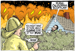  CA FIRE SAFETY BRUSH CLEARING by Monte Wolverton