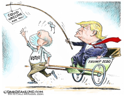 COVID VACCINE AND POLITICS by Dave Granlund