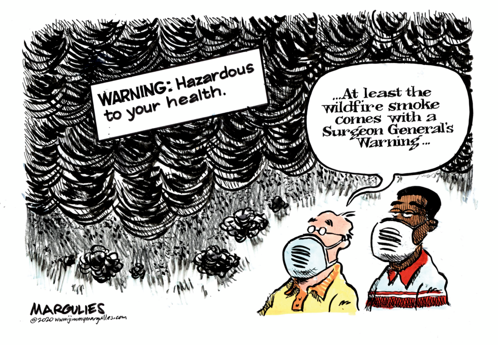 Wildfire Smoke Carries Its Own Health Warning