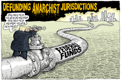 DEFUNDING ANARCHIST JURISDICTIONS by Monte Wolverton