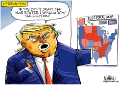 DON'T COUNT THE BLUE STATES by Dave Whamond