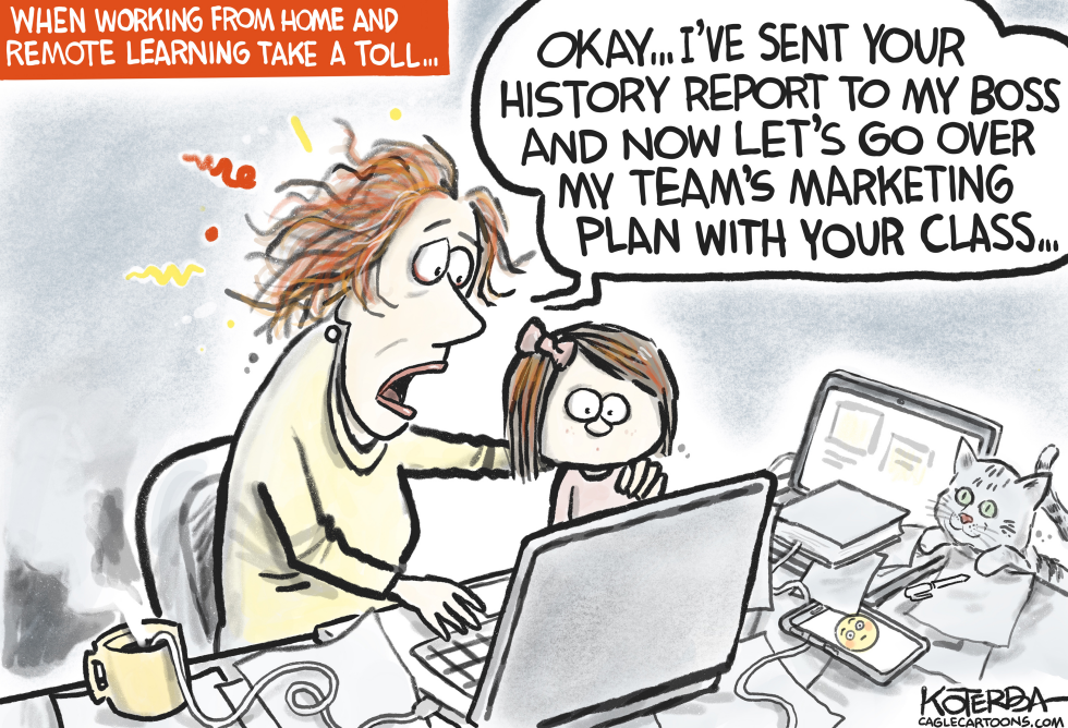Remote Learning and Working at Home