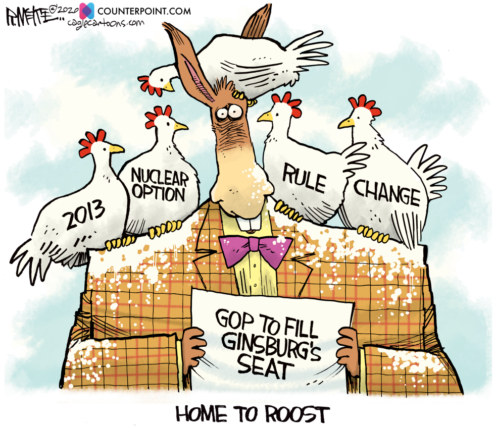 Democrat Chickens