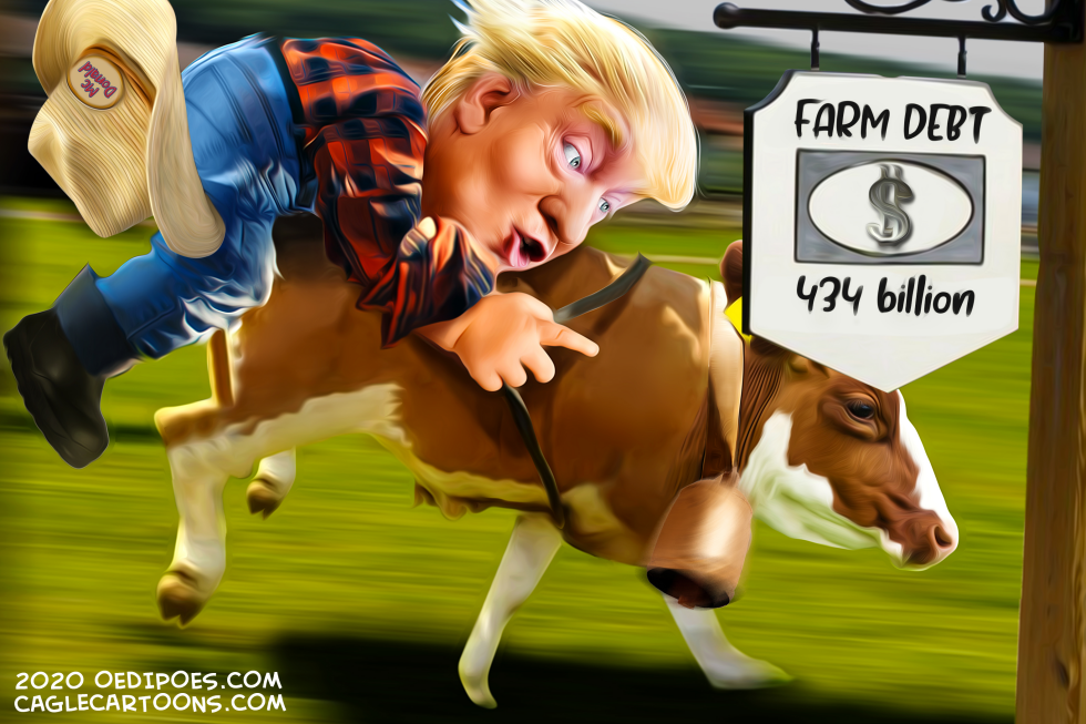 Farm debt