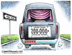 COVID-19 DEATHS 200K by Dave Granlund