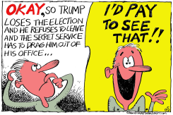 IF TRUMP LOSES by Randall Enos