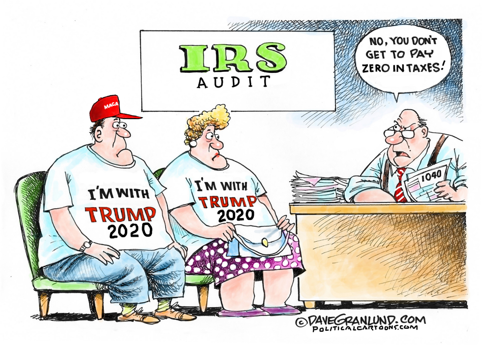 Trump Supporters Face IRS Reality Check in Audit Cartoon
