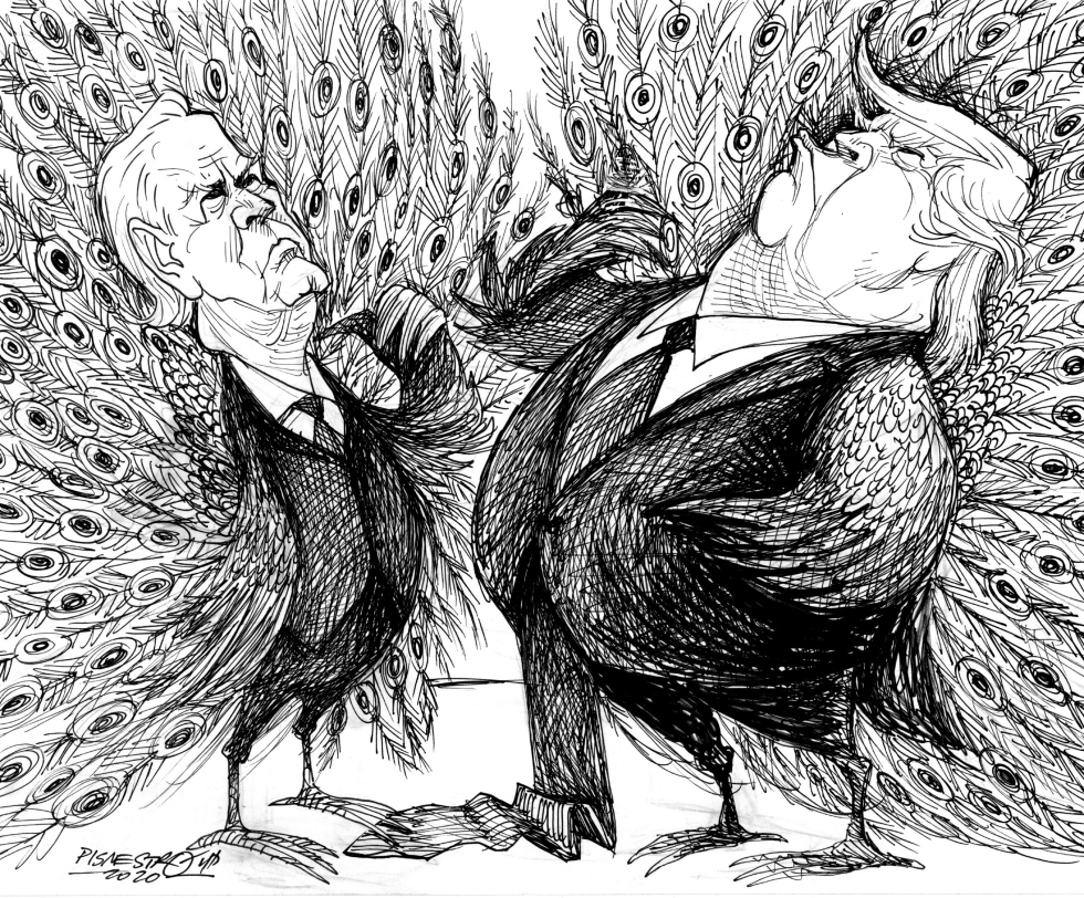 Two peacocks