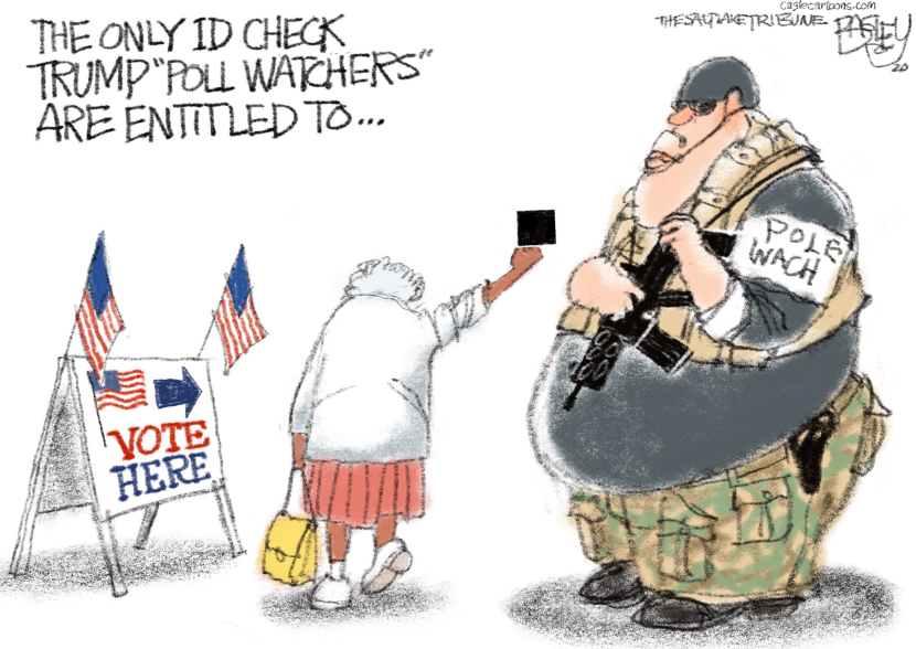 Poll Watcher Salute