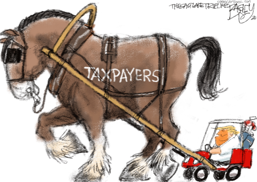 Tax Cheat