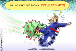 GET THE BLEACH by Ed Wexler