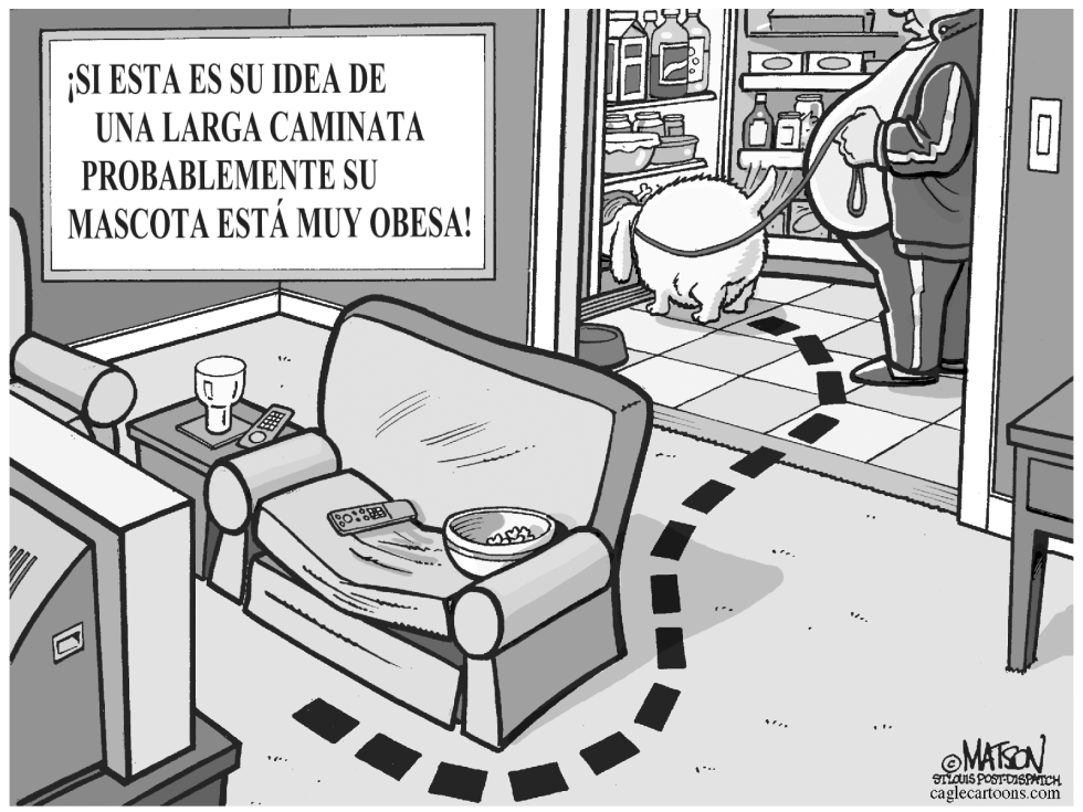 Obesidad de Mascotas