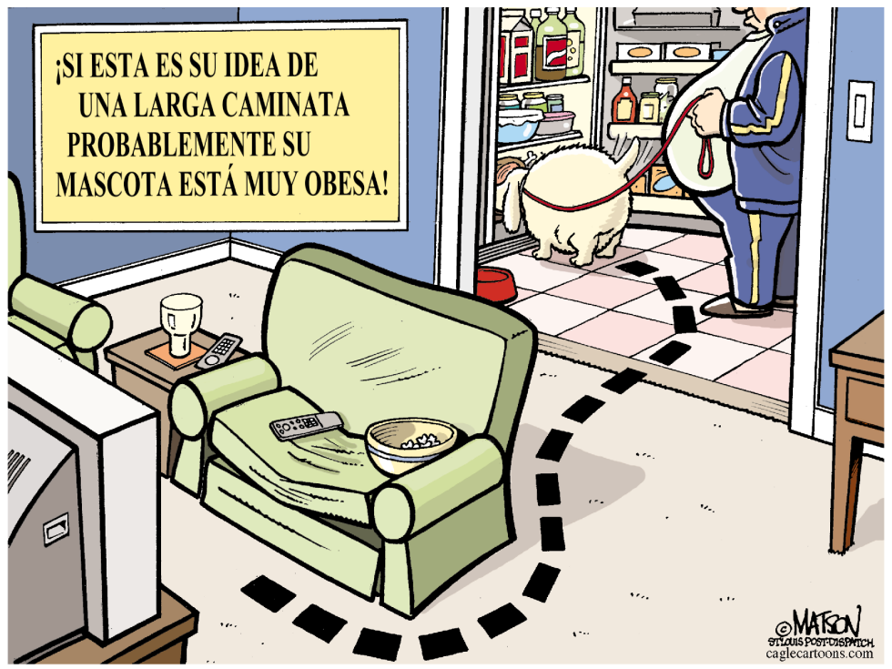 Obesidad de Mascotas / COLOR