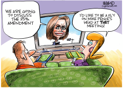 25TH AMENDMENT by Dave Whamond
