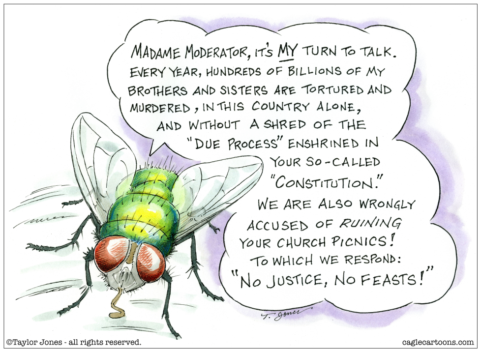 The Flies have it
