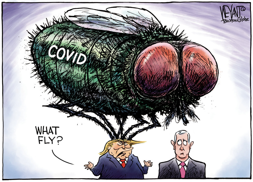Why Fly?