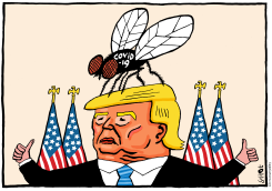 THE FLY by Schot