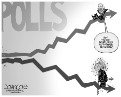 TRUMP AND BIDEN POLLING by John Cole