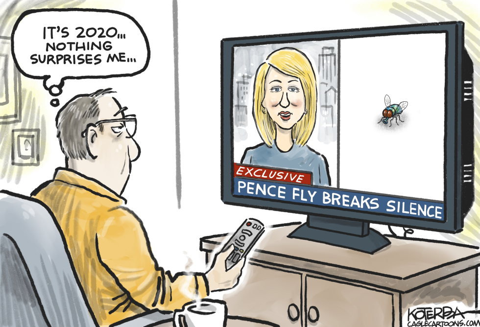 2020 and the Pence Fly