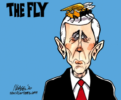 THE FLY by Steve Nease