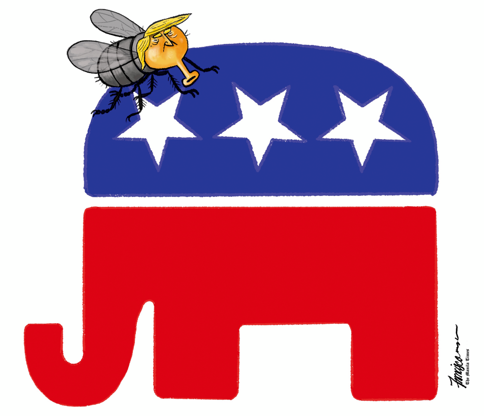 The Fly