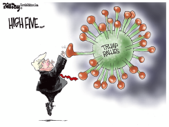 TRUMP RALLIES by Bill Day