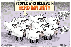 HERD IMMUNITY by Monte Wolverton