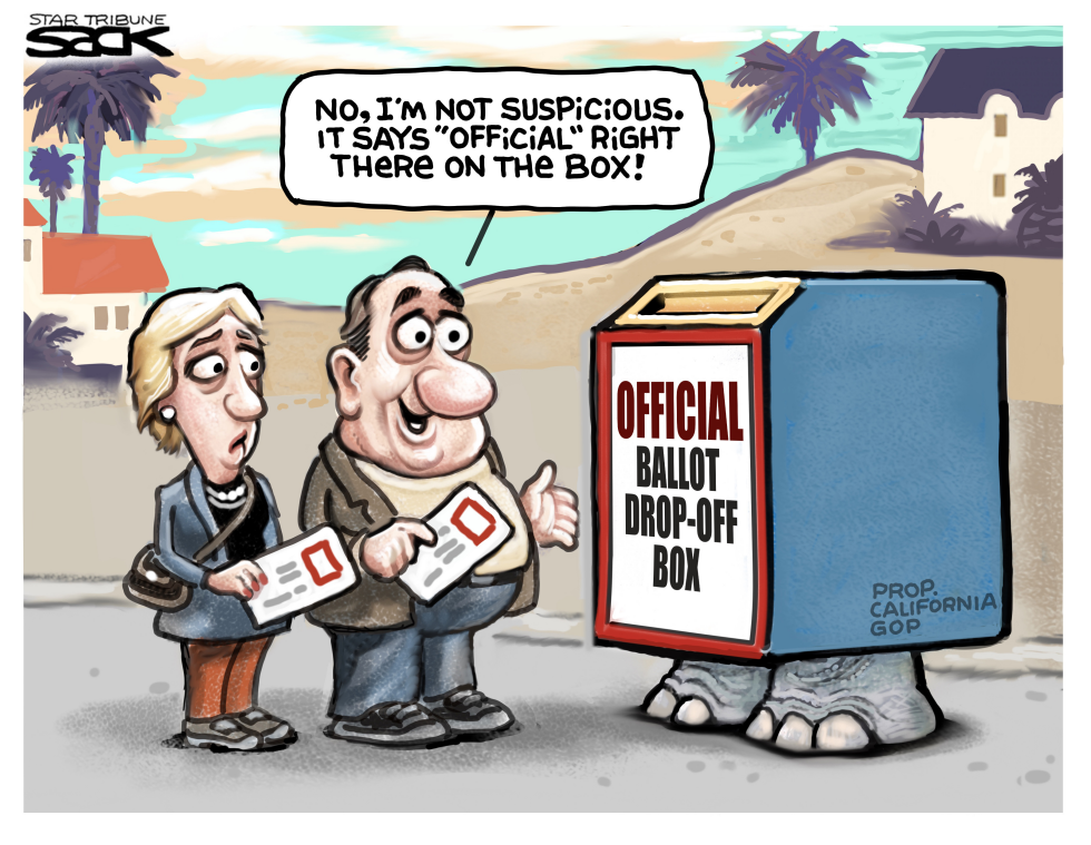Bogus Ballot Box