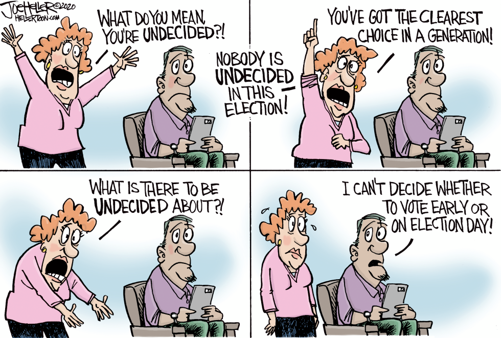 Undecided Voters