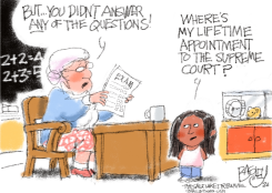 JUDGING AMY by Pat Bagley