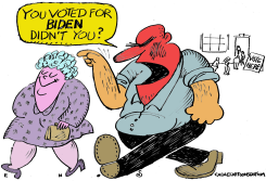 THE BIDEN VOTE by Randall Enos