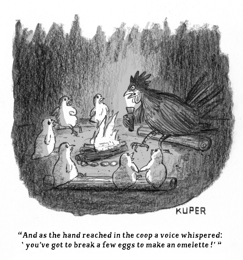 Rooster shares coop tale with hens at night fire