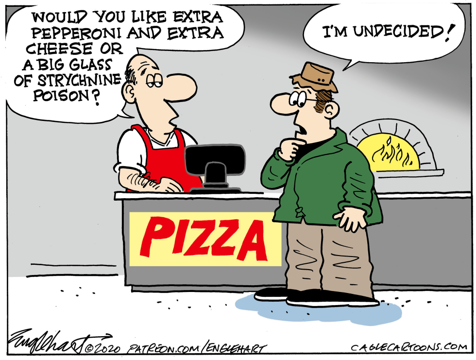 Undecided Voter