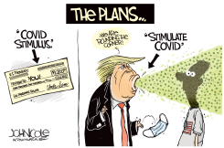 TRUMP COVID STIMULUS PLAN by John Cole