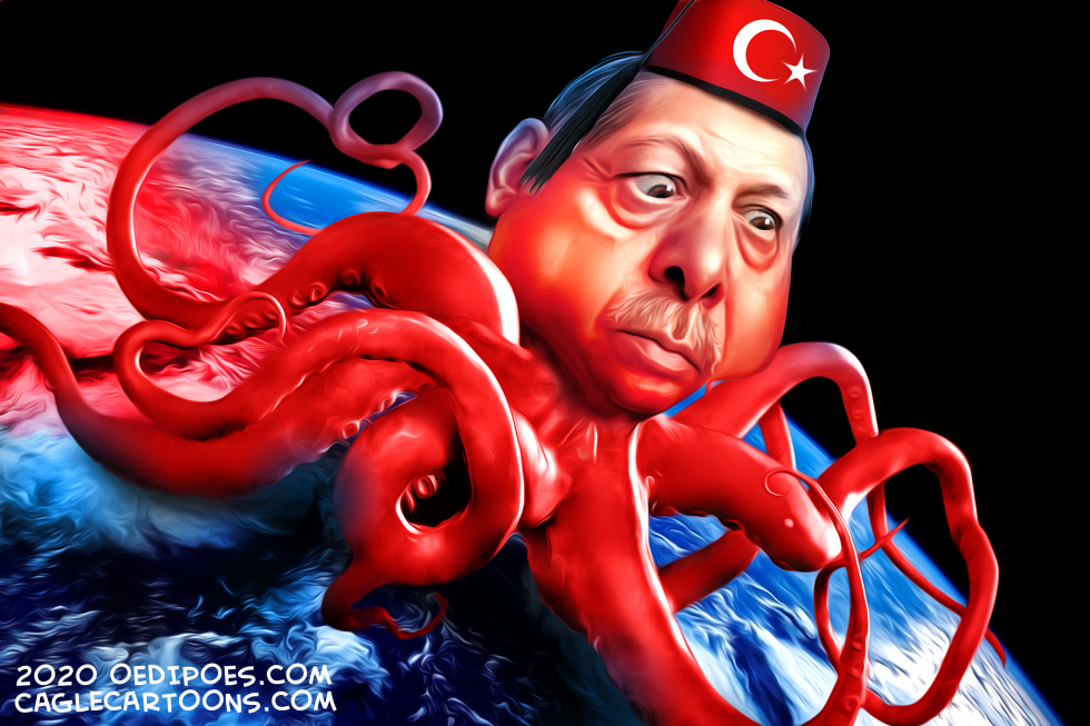 Erdogan's long arm(s)