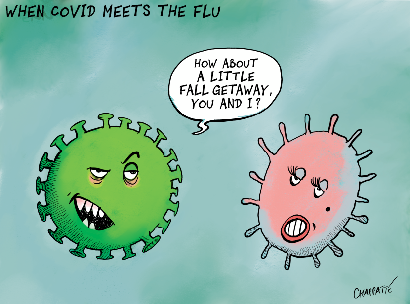 When Covid meets the flu