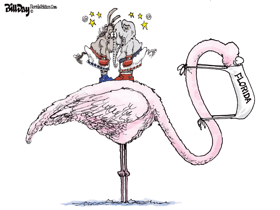 Florida Fight