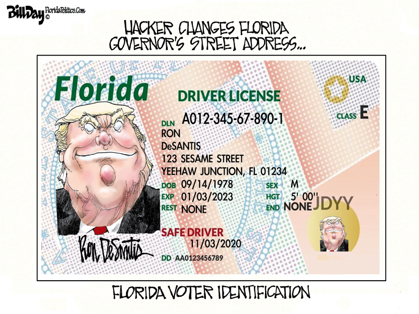 FLORIDA - DeSantis Voter ID