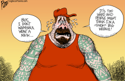 WHY NOT WEAR A MASK by Bruce Plante