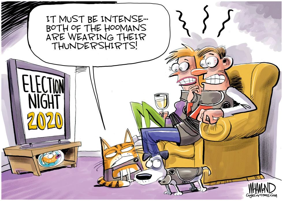 Election Night Thunder