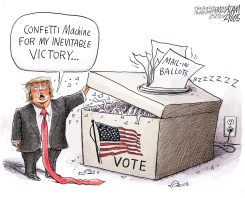 NULLIFYING BALLOTS by Adam Zyglis